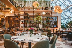 imagem mostra restaurante com pratos, talheres e taças sobre as mesas, com cadeiras verdes escuras, chão quadriculado e prateleiras com plantas ao fundo
