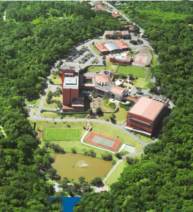 imagem mostra vista aérea de hotel cercada por vegetação