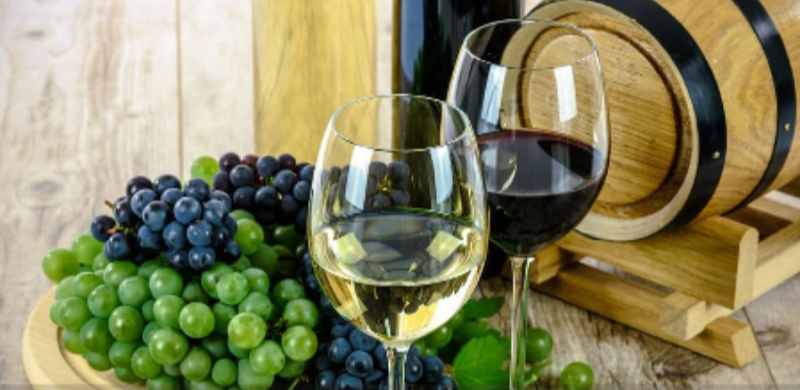 Rotas do Vinho: descubra destinos para brindar no interior