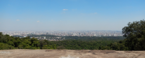 Dia da Árvore: trilhas para se conectar com a natureza perto de São Paulo