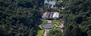 A primavera chegou: descubra os destinos mais floridos de São Paulo