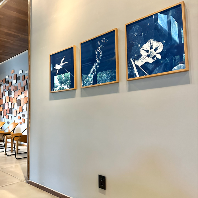 Canopy by Hilton SP Jardins recebe exposição “Azul Contraste”