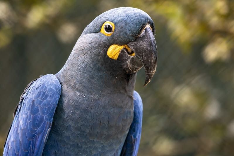 Roteiro de férias: Zoo SP, Jardim Botânico e Simba Safari